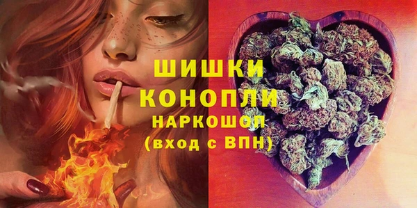 spice Волосово