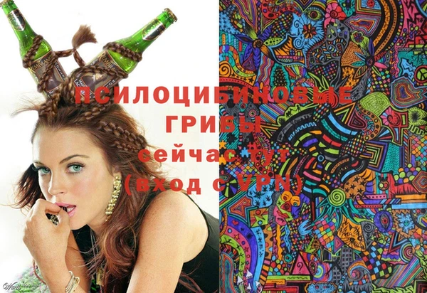jwh Володарск