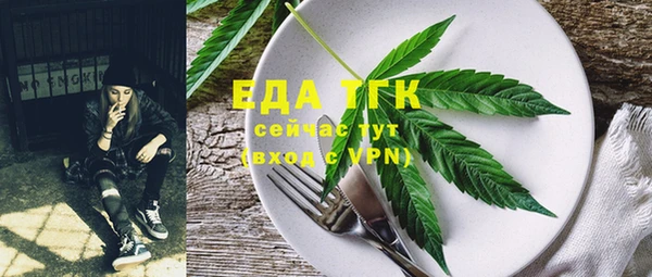 дживик Верхний Тагил