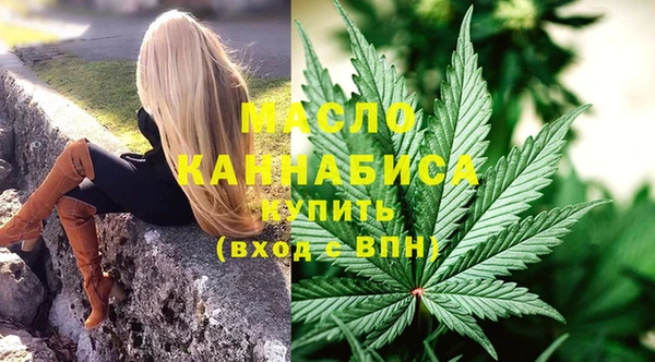 дживик Верхний Тагил