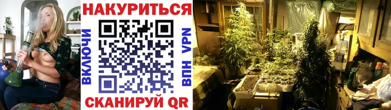 где можно купить   Каменск-Уральский  Шишки марихуана White Widow 